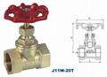  BRASS GLOBE VALVE