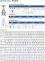 德標閘閥DIN 3352 F4 F5 GG25