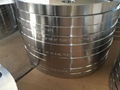 STAINLESS STEEL  FLANGES 1