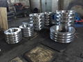 CARBON STEEL FLANGES 7