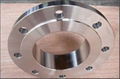ss pipe flanges 