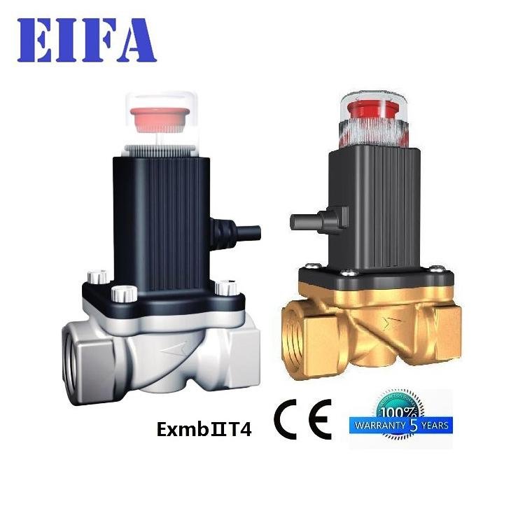 Best quality Natural Gas Solenoid Valve