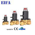 Best quality Natural Gas Solenoid Valve 3