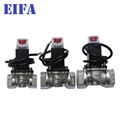 Best quality Natural Gas Solenoid Valve 6