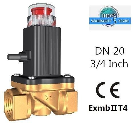 5 years quality guarantee Natural gas solenoid valve  2