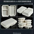家團圓1000ML雙格紙漿餐盒