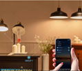 Remote Control APP Control  Wifi Light Bulb with Voice Time Group contro