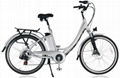 Lithium Electric Bicycle 1