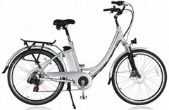 Lithium Electric Bicycle