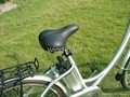 Lithium Electric Bicycle 4