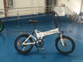 Folding Electric Bike