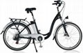 Electric Bike with lithuim batteries pack 1