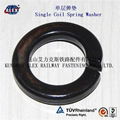  Fe6 Double coil Spring Washer