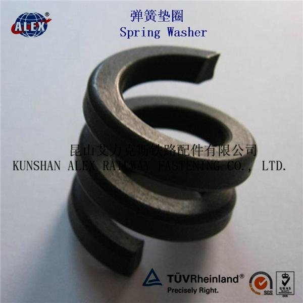  Fe6 Double coil Spring Washer 5