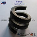  Fe6 Double coil Spring Washer