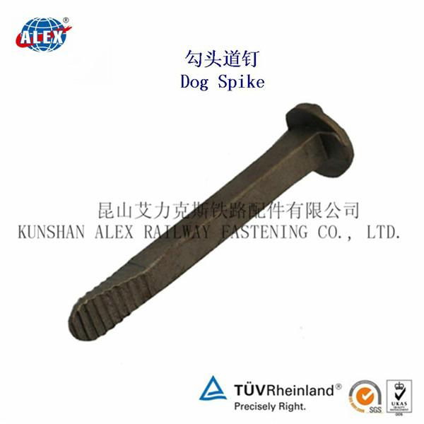 Railway  track spikes carbon steel plain oiled surface  5