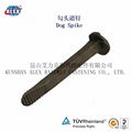 Railway  track spikes carbon steel plain oiled surface  5