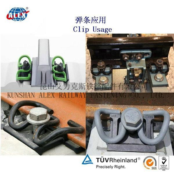 SKL Railway Fastener  5