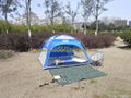 Camping Tent 5