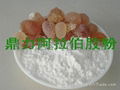 gum arabic powder