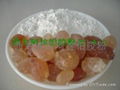 gum arabic