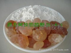 gum arabic 