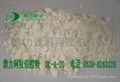 arabic gum powder