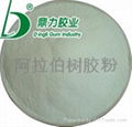 arabic gum powder 2