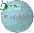 arabic gum powder 3