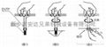 自攻螺套安装方法