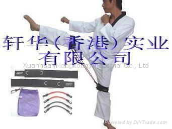 Taekwondo Exerciser 