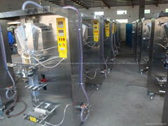 Bag Water Filling Machine