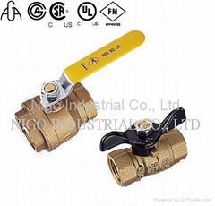 2 piece Forged Brass Ball Valves