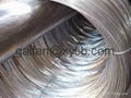 Supply  Galvanized steel wire 2