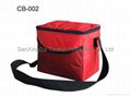 Cooler Bag 1