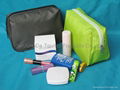 Cosmetic Bag 1