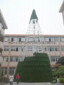 Outdoor large christmas tree 9