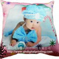 Digital Printing Cushion 2