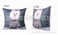 Digital Printing Cushion 3