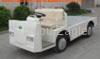 CE approved electric industrial car EG6021H