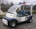 CE Approved Electric Passenger Car for Cruise