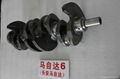 Brand New Crankshaft for Mazda 6