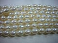 Nature Fashwater pearl beads and strands