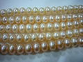 Nature Fashwater pearl beads and strands