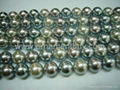 Selling Mother of pearl and shell bead strand