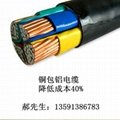 YJCV电缆 铜包铝电缆 生产厂家 4