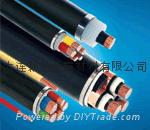 Copper Clad Aluminum Wire Cable 5