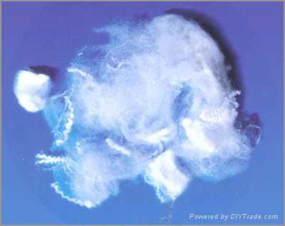 Polyester fiber 1