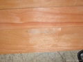 fleeced back red cedar veneer