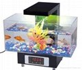 Fashion mini fish tank, LED clock display. Players
